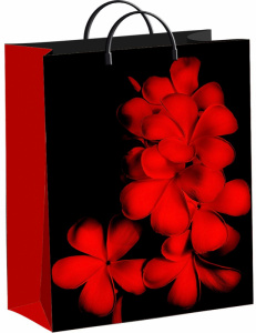 Сумка мягкий пластик 30*40 "Экзотик" (Тико) (40)